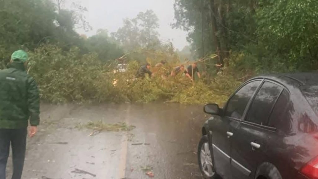 Vendaval causa estragos no Oeste gaúcho e risco de tempestades segue