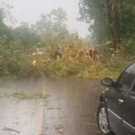 Vendaval causa estragos no Oeste gaúcho e risco de tempestades segue