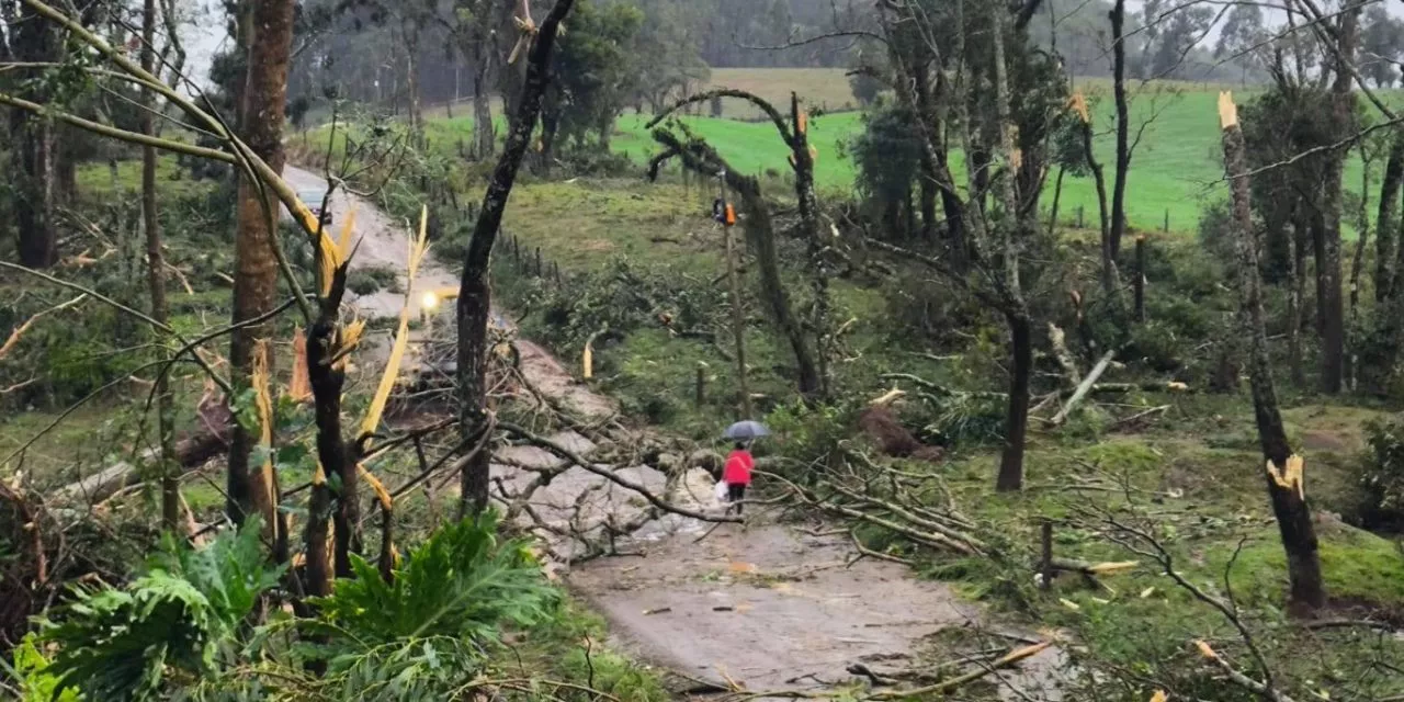 <span class="entry-title-primary">Tornado provoca destruição em área rural do Norte do Rio Grande do Sul</span> <h2 class="entry-subtitle">Tornado atingiu a região de divisa do Rio Grande do Sul e Santa Catarina com estragos na áreal rural de Erval Grande </h2>