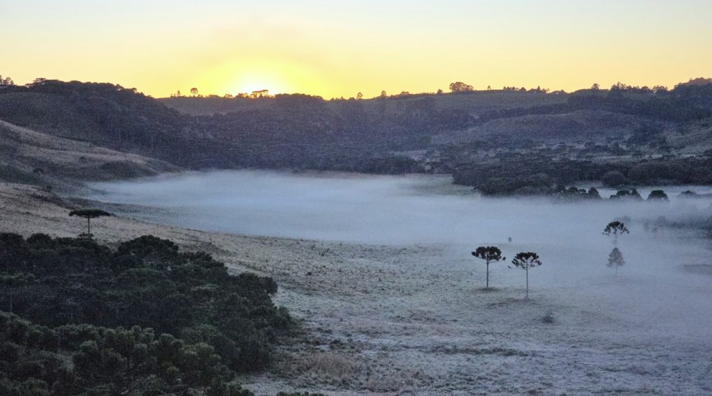 Maio começa com frio no Sul, Centro-Oeste e no Sudeste do Brasil