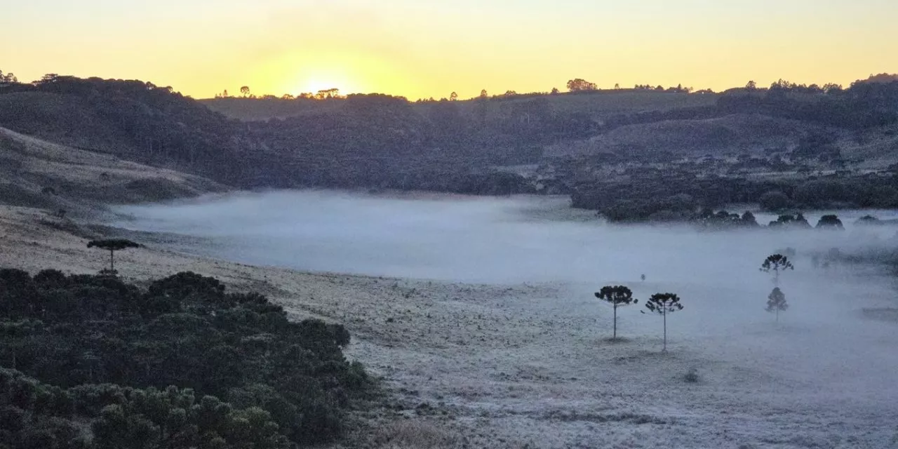 <span class="entry-title-primary">Maio começa com frio no Sul, Centro-Oeste e no Sudeste do Brasil</span> <h2 class="entry-subtitle">Temperaturas baixas foram observadas na primeira madrugada de maio em vários estados do Sul, Centro-Oeste e do Sudeste do Brasil </h2>