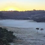 Maio começa com frio no Sul, Centro-Oeste e no Sudeste do Brasil