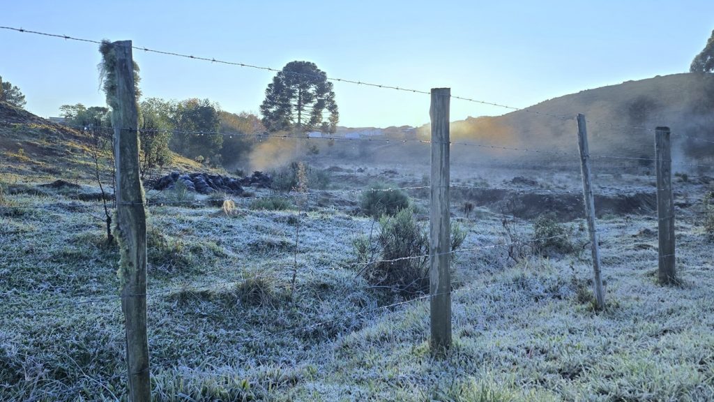 Sul do Brasil volta a registrar temperatura negativa e geada