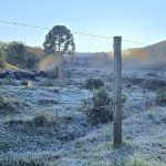 Sul do Brasil volta a registrar temperatura negativa e geada