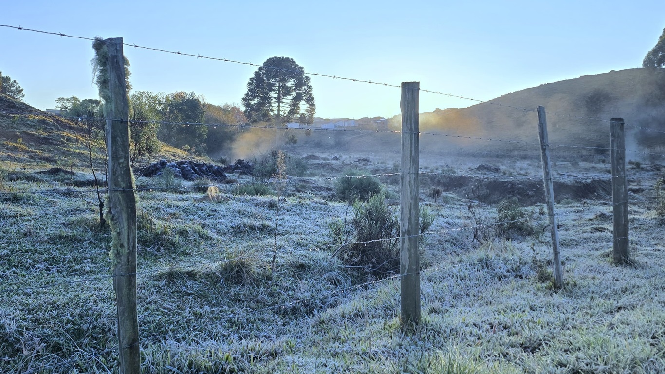 Foto mostra geada pelo frio em São Joaquim (SC)