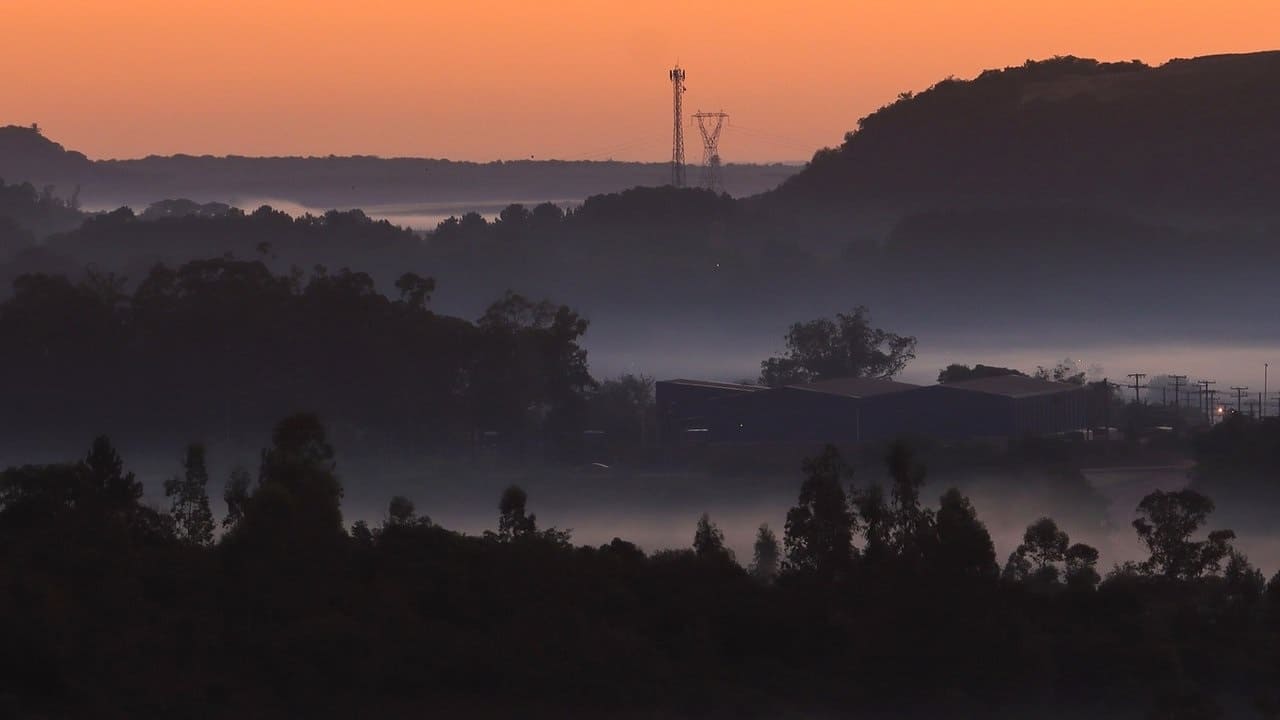 Foto de amanhecer frio na fronteira Foto mostra amanhecer frio e com neblina em Livramento