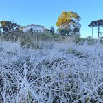 Semana começa com frio abaixo de zero no Sul do Brasil