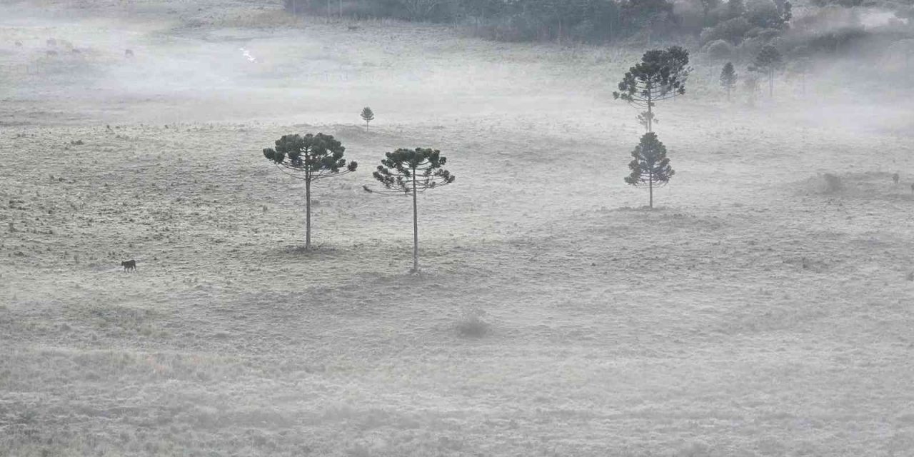 <span class="entry-title-primary">Semana vai começar com frio abaixo de zero no Sul do Brasil</span> <h2 class="entry-subtitle">Massa de ar frio e seco segue influenciando as condições do tempo e manterá a temperatura baixa neste começo de semana </h2>
