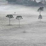 Semana vai começar com frio abaixo de zero no Sul do Brasil