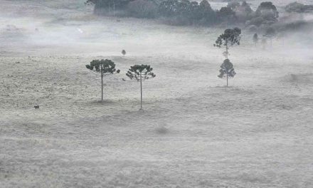 Semana vai começar com frio abaixo de zero no Sul do Brasil Massa de ar frio e seco segue influenciando as condições do tempo e manterá a temperatura baixa neste começo de semana