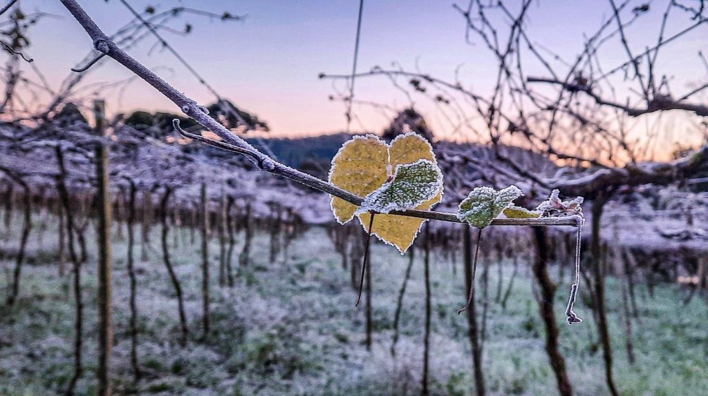 Como será o clima no mês de junho