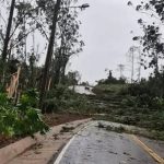 Vento provoca duas mortes em Santa Catarina; Oeste pode ter tido tornado
