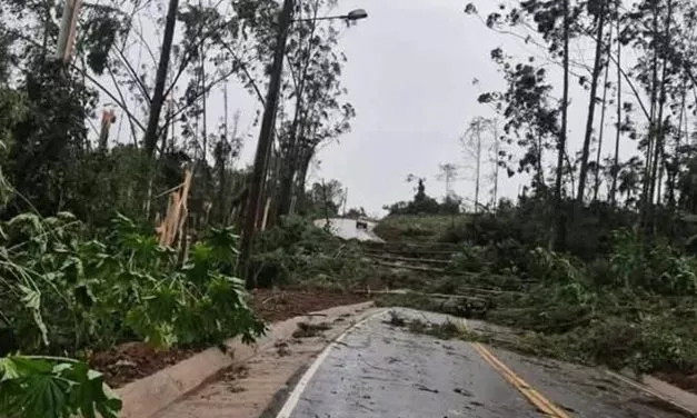 Vento provoca duas mortes em Santa Catarina; Oeste pode ter tido tornado