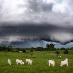 Novo episódio de chuva forte e temporais atingirá o Sul do Brasil