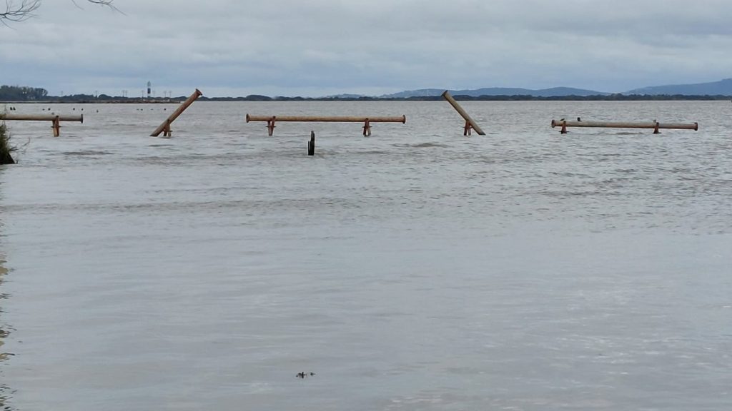 Guaíba sobe rapidamente com vento Sul; entenda e veja a previsão