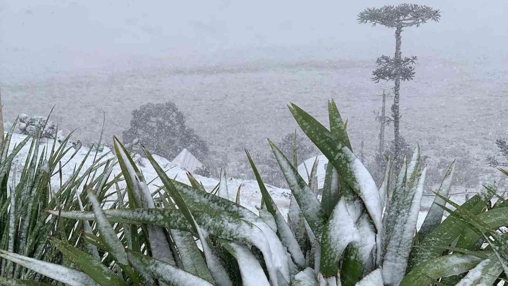 Como será o clima no inverno de 2025
