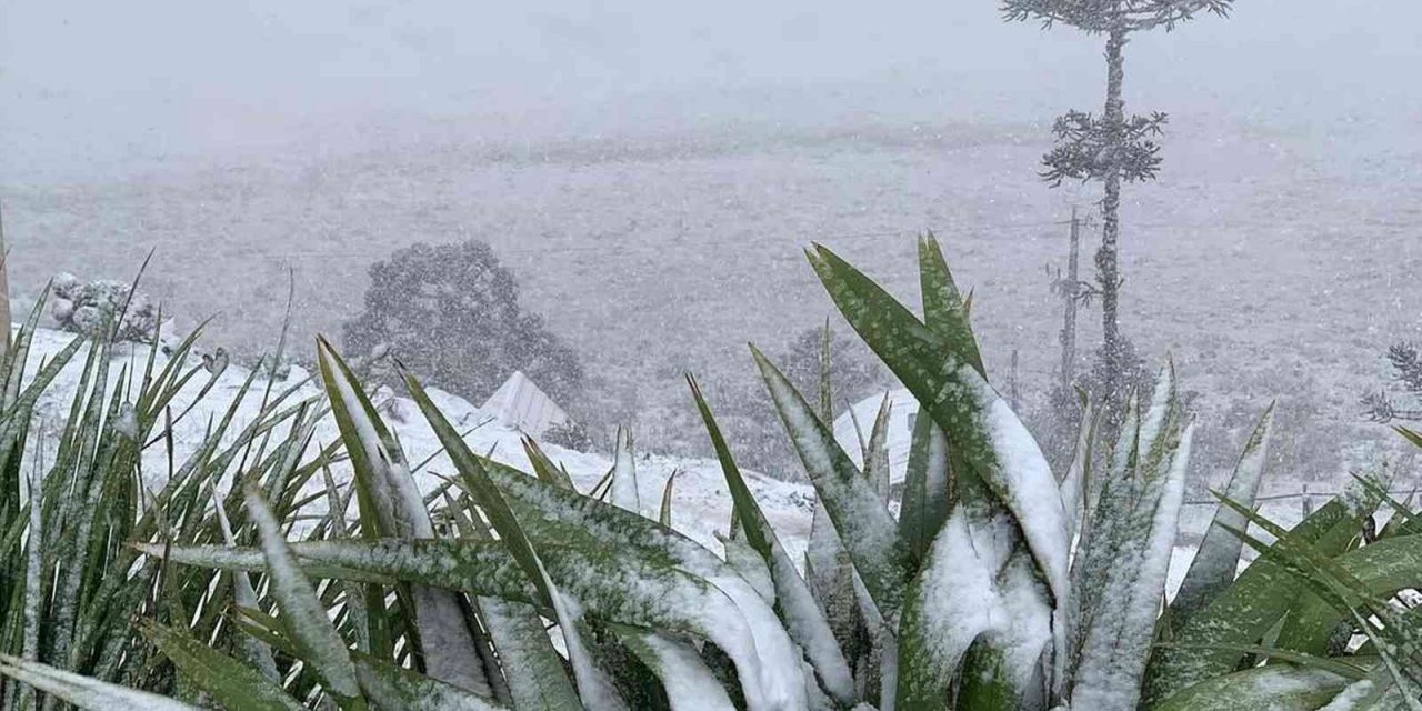 <span class="entry-title-primary">Como será o clima no inverno de 2025</span> <h2 class="entry-subtitle">Leia a tendência climática da MetSul Meteorologia para o inverno de 2025 em estados do Sul, Centro-Oeste e do Sul do Brasil </h2>