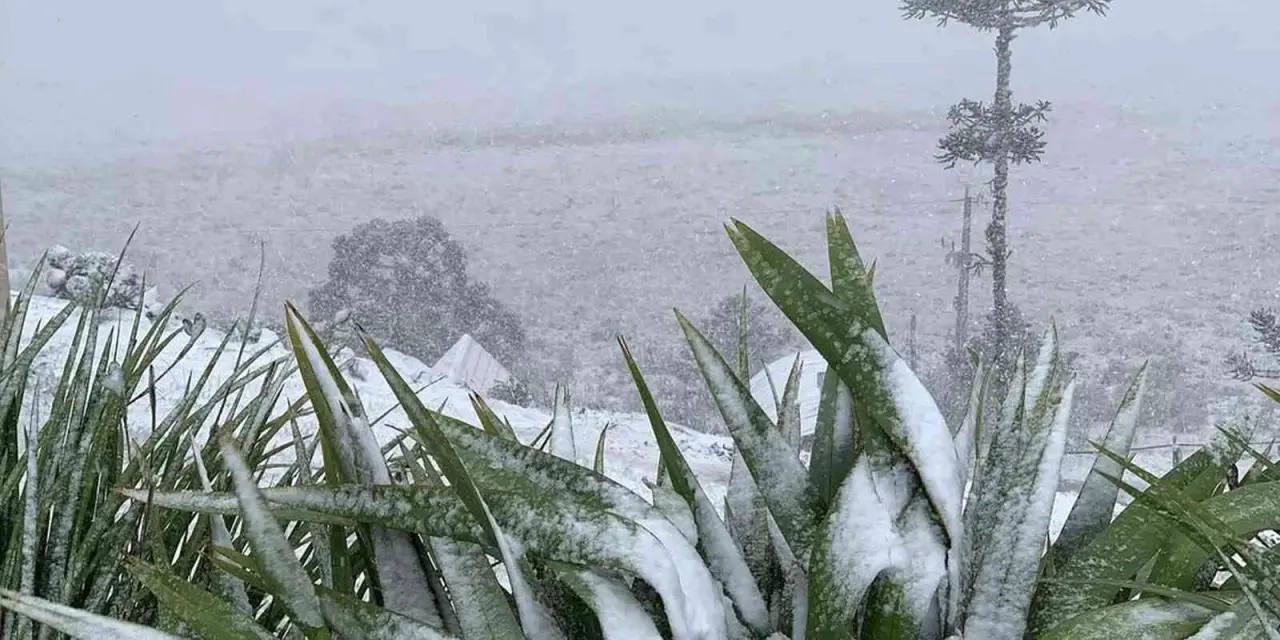 <span class="entry-title-primary">Como será o clima no inverno de 2025</span> <h2 class="entry-subtitle">Leia a tendência climática da MetSul Meteorologia para o inverno de 2025 em estados do Sul, Centro-Oeste e do Sul do Brasil </h2>
