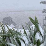 Como será o clima no inverno de 2025