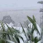 Como será o clima no inverno de 2025