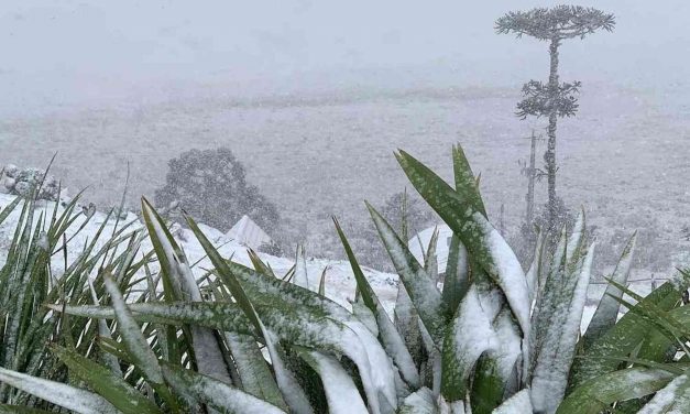 Como será o clima no inverno de 2025