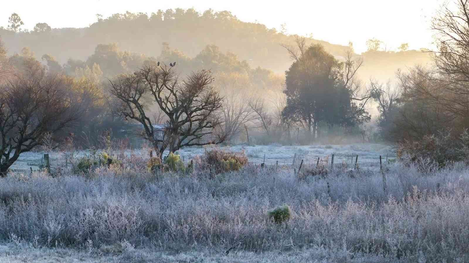 Frio Foto mostra frio e geada na fronteira gaúcha