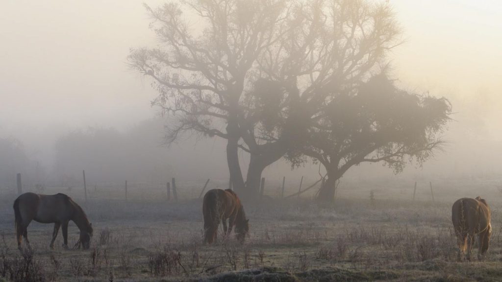 Frio não dá trégua, atinge mínimas do ano e chega a quase 6ºC negativos