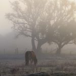 Frio não dá trégua, atinge mínimas do ano e chega a quase 6ºC negativos