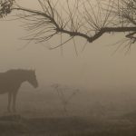 Oito dias seguidos de frio abaixo de zero no Rio Grande do Sul