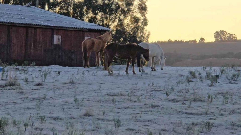 Onda de frio perde força após mínimas abaixo de zero em seis estados