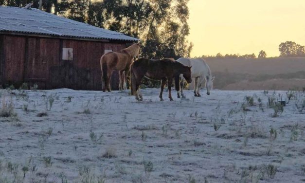 Onda de frio perde força após mínimas abaixo de zero em seis estados