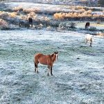 Frio não dá trégua e temperatura segue abaixo de zero