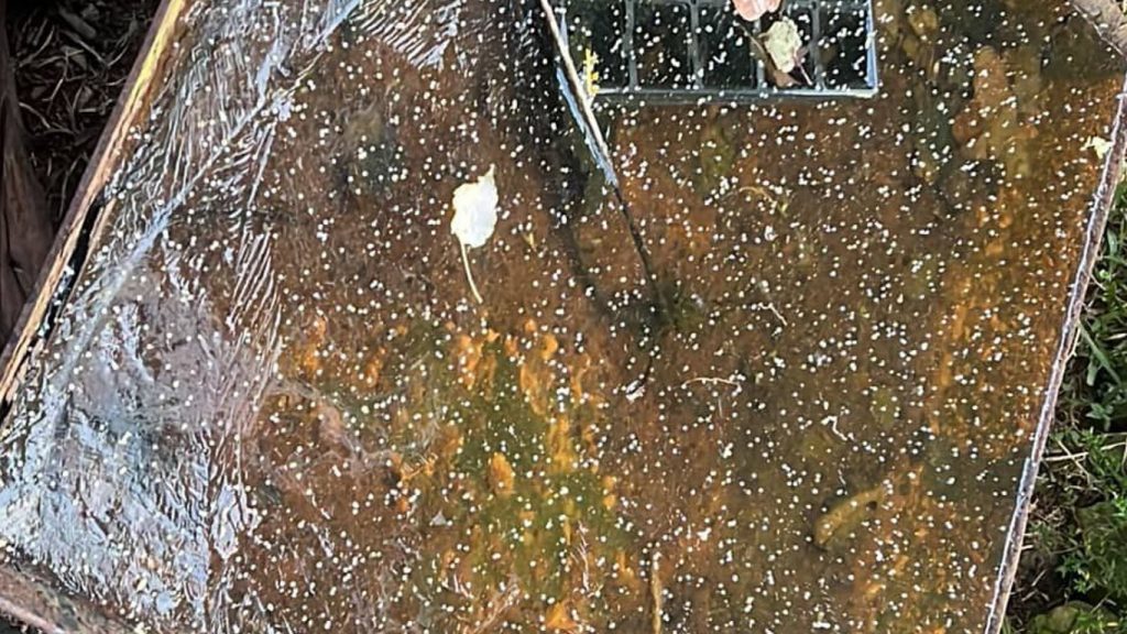 Neve granular cai em duas cidades da Serra Gaúcha nesta manhã