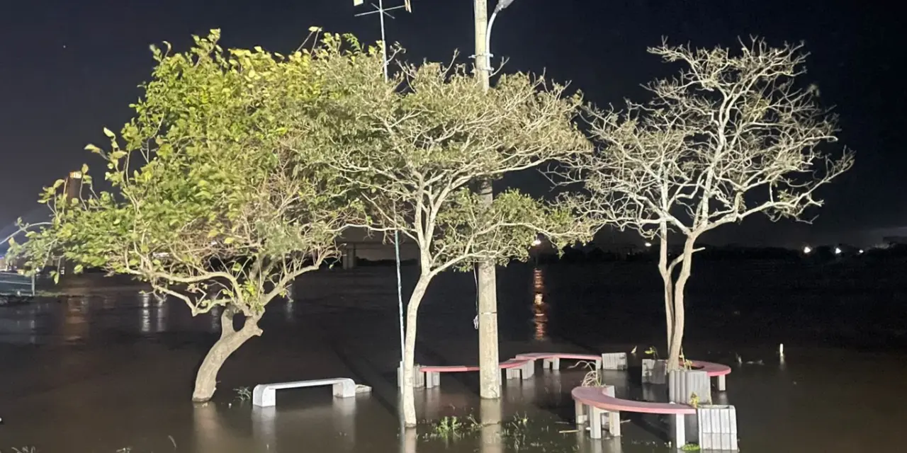 <span class="entry-title-primary">Guaíba transborda no Cais Navegantes e continua a subir em Porto Alegre</span> <h2 class="entry-subtitle">MetSul Meteorologia registrou o Guaíba fora do leito no Cais Navegantes e nível se aproxima da cota de inundação no Cais Mauá </h2>