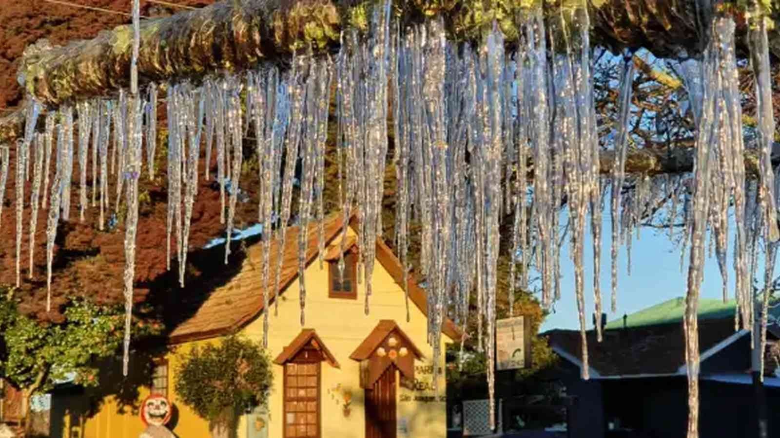 Foto mostra frio em Santa Catarina