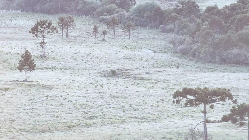 Frio extremo de -7ºC a -9ºC em Santa Catarina e no Paraná