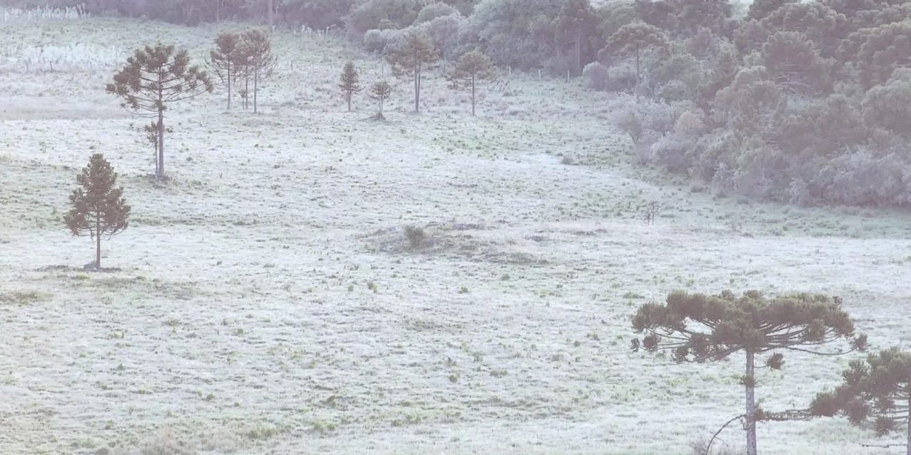 <span class="entry-title-primary">Frio extremo de -7ºC a -9ºC em Santa Catarina e no Paraná</span> <h2 class="entry-subtitle">Madrugada de hoje foi de frio extremo em Santa Catarina e no Paraná com mínimas excepcionalmente baixas </h2>