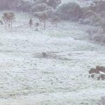 Frio extremo de -7ºC a -9ºC em Santa Catarina e no Paraná