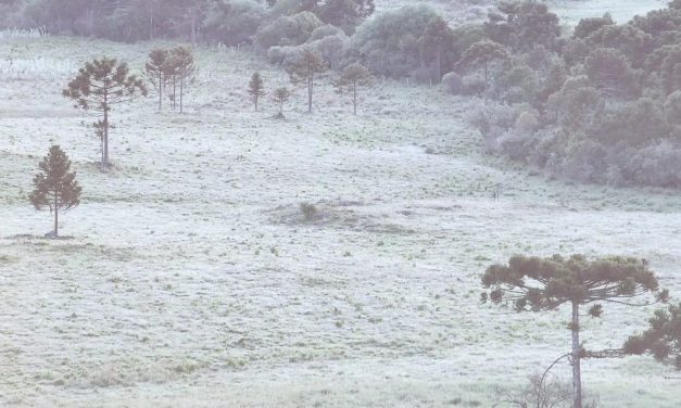 Frio extremo de -7ºC a -9ºC em Santa Catarina e no Paraná