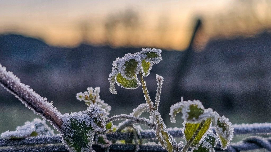 Semana começa com frio abaixo de zero
