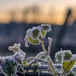 Semana começa com frio abaixo de zero