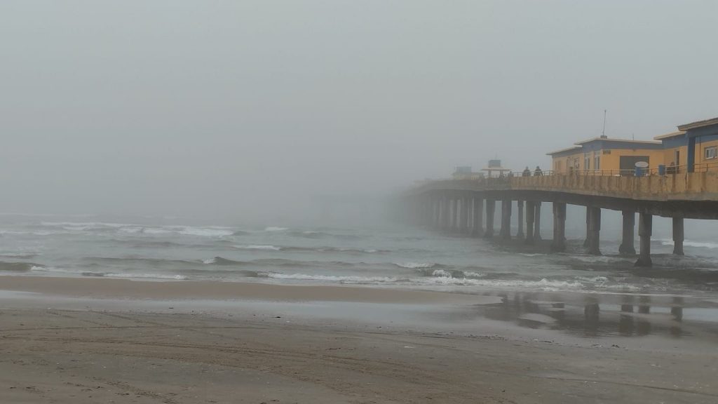 Semana começa ainda com frio e nevoeiro em várias cidades