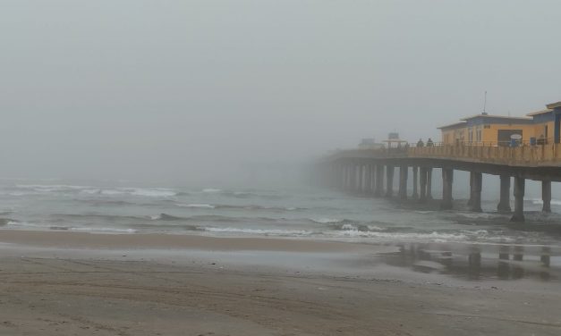 Semana começa ainda com frio e nevoeiro em várias cidades