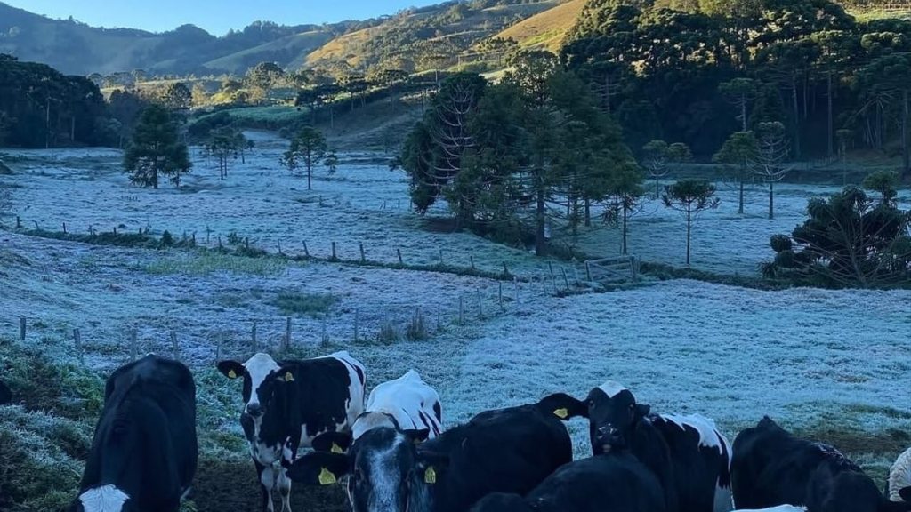 Minas Gerais registra quase -7ºC em amanhecer gelado em vários estados