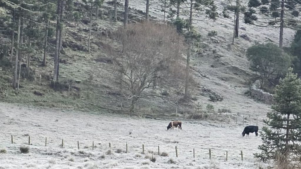 Julho começa com centenas de cidades abaixo de zero; veja as mínimas