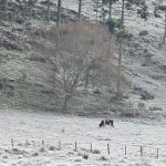 Julho começa com centenas de cidades abaixo de zero; veja as mínimas