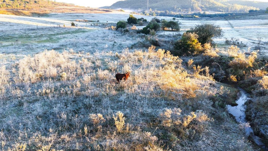 RS tem amanhecer mais frio desde a grande onda de frio do início do mês