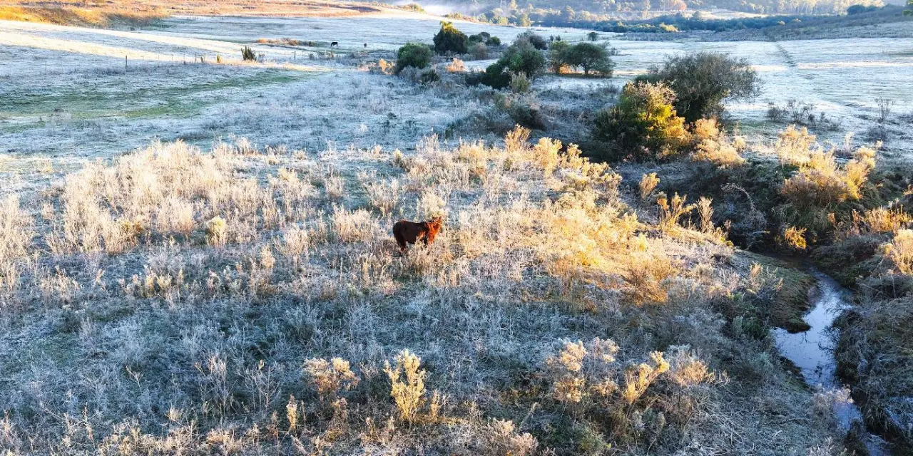 <span class="entry-title-primary">RS tem amanhecer mais frio desde a grande onda de frio do início do mês</span> <h2 class="entry-subtitle">Rio Grande do Sul registrou amanhecer gelado nesta quarta-feira com temperaturas minimas negativas em várias regiões </h2>