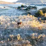 RS tem amanhecer mais frio desde a grande onda de frio do início do mês