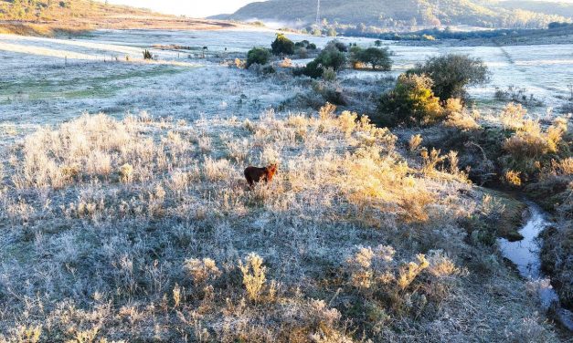 RS tem amanhecer mais frio desde a grande onda de frio do início do mês